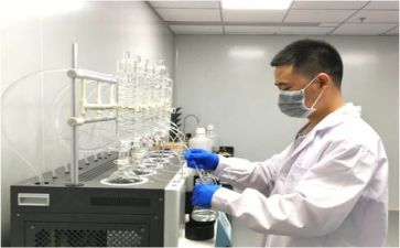 年质量工作总结范文推荐6篇