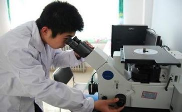 会计质量工作总结5篇