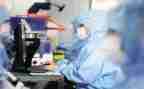 质量安全工作总结报告7篇