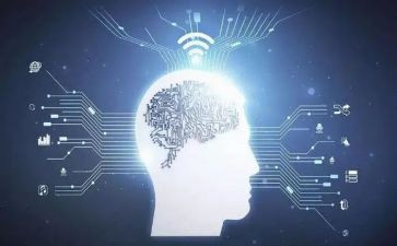 熊的知识的演讲稿参考7篇