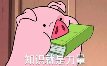 冷知识演讲稿6篇