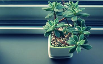 植物园工作总结范文7篇