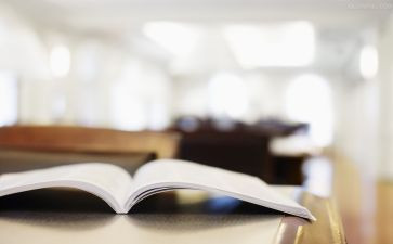 政治学习与心得体会推荐5篇
