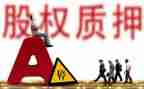 借款质押担保合同5篇