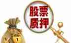 车辆转质押合同模板7篇