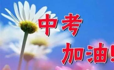 中考了作文600字精选7篇