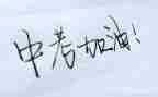 中考了作文优质8篇