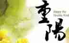 重阳敬老爱老演讲稿优质8篇