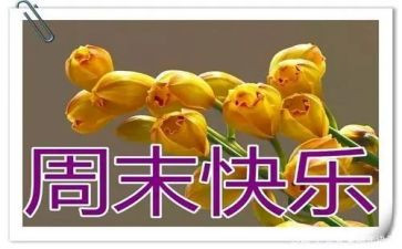 周末的我作文300字8篇