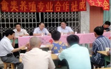 专合社申请书模板通用8篇