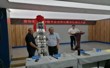 专合社清理工作总结5篇