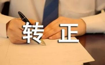 学校转正工作总结8篇