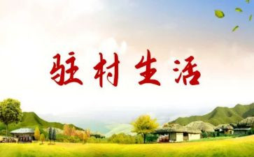 驻村帮扶个人总结6篇