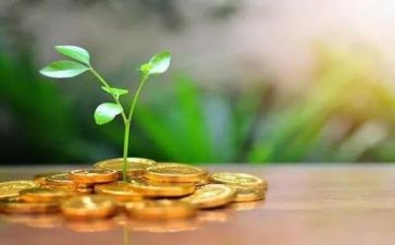 资金专项自查报告通用7篇