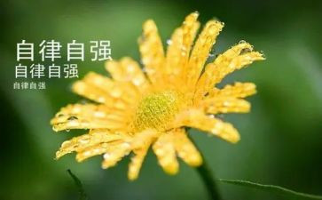 中学生自强不息演讲稿7篇