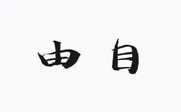 论自由作文300字7篇