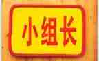 组长个人述职报告6篇