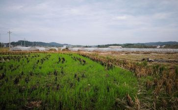 标准房屋租赁合同最新8篇