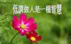 学做人演讲稿参考7篇